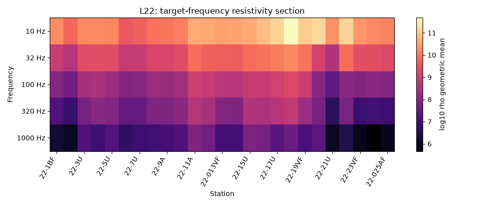L22: target-frequency resistivity section
